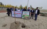 فرهنگ اهدای خون با کاشت درخت در باغ زندگی مشهد